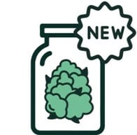 Product Releases